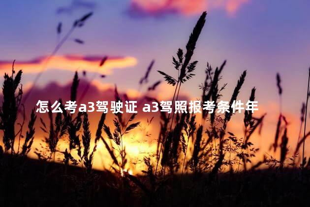 怎么考a3驾驶证 a3驾照报考条件年龄